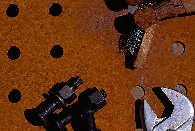 《神鬼寓言2》开发时工作室曾反复讨论是否要加入狗